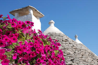 Puglia Italia