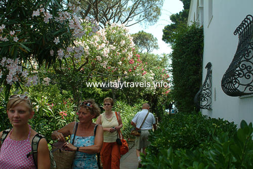 Anacapri - Capri