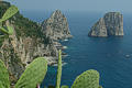 Die Faraglioni - Capri