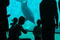 Aquarium van Genua