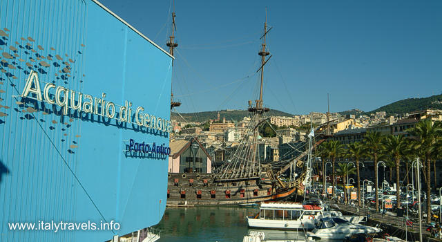 Aquarium of Genoa