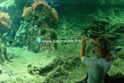 Aquarium Genua - Genua