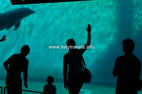 Aquarium Genua - Genua