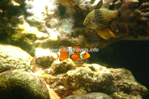 Aquarium Genua - Genua