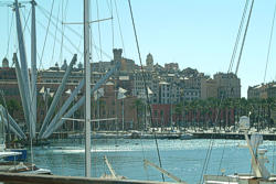 Genoa